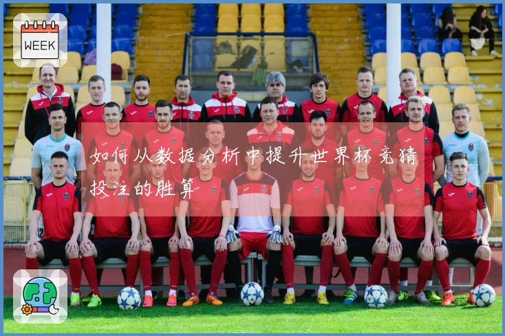 如何从数据分析中提升世界杯竞猜投注的胜算