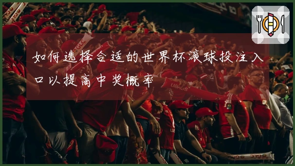 如何选择合适的世界杯滚球投注入口以提高中奖概率