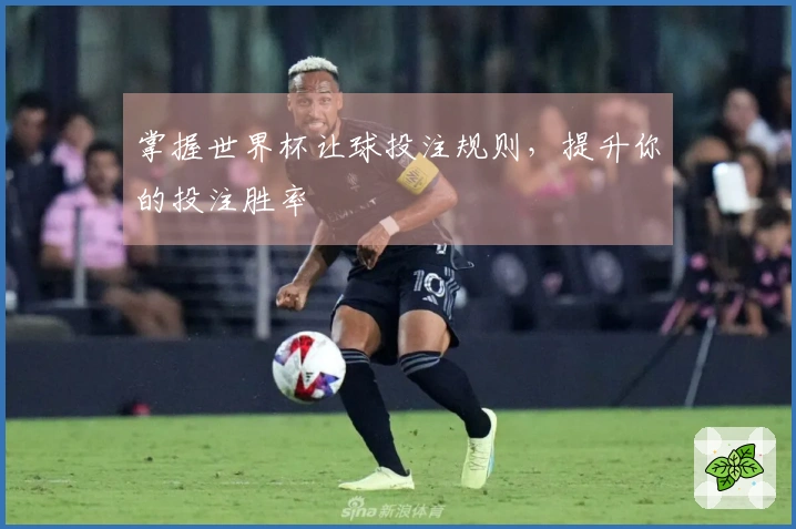 掌握世界杯让球投注规则，提升你的投注胜率