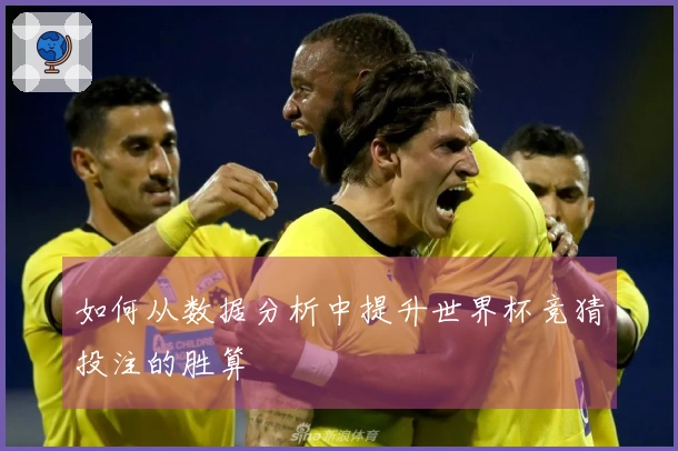 如何从数据分析中提升世界杯竞猜投注的胜算