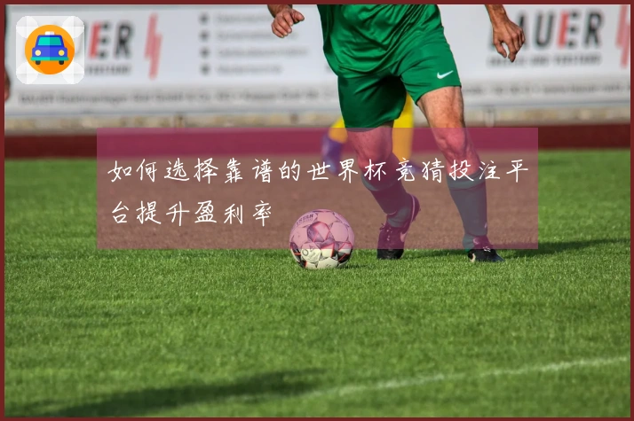如何选择靠谱的世界杯竞猜投注平台提升盈利率