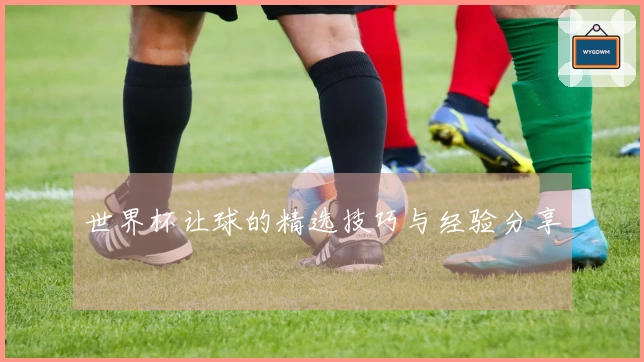 世界杯让球的精选技巧与经验分享