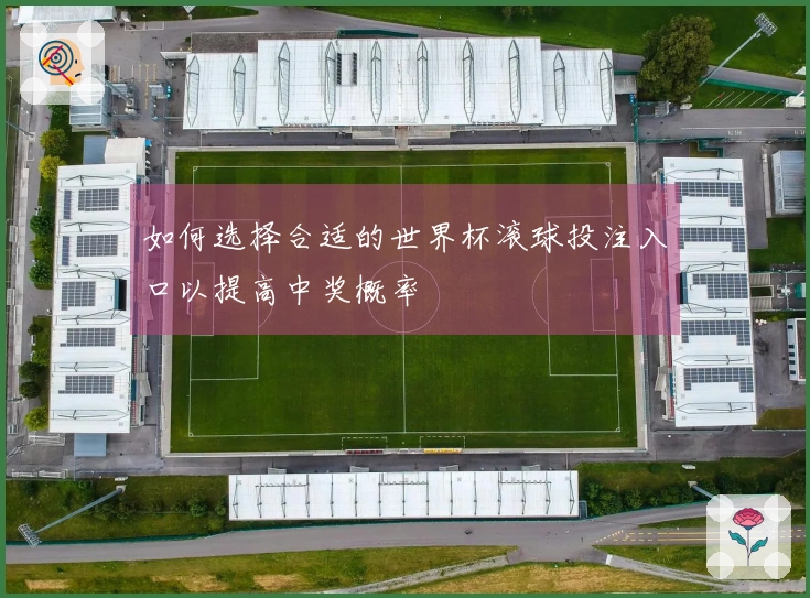 如何选择合适的世界杯滚球投注入口以提高中奖概率
