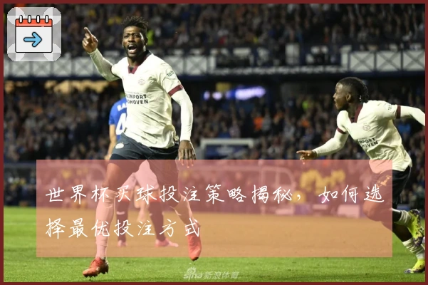 世界杯买球投注策略揭秘，如何选择最优投注方式