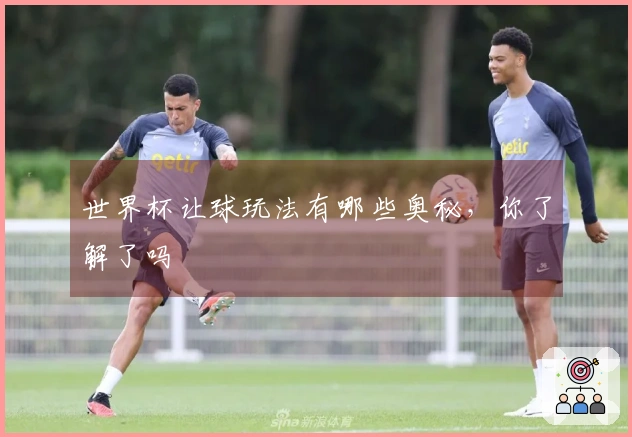 世界杯让球玩法有哪些奥秘，你了解了吗