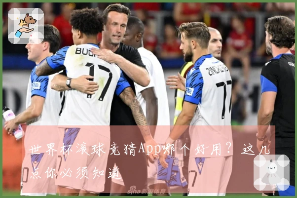世界杯滚球竞猜App哪个好用？这几点你必须知道